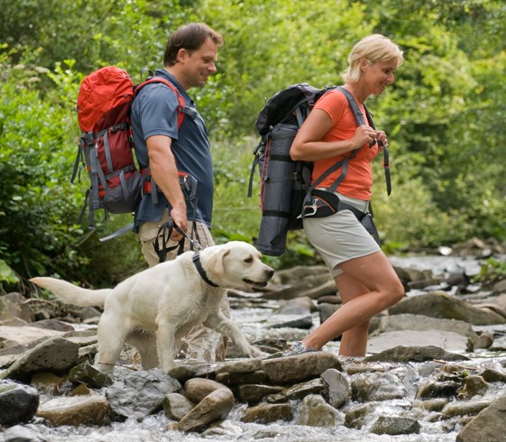 Urlaub-mit-Hund: Wandern mit Hund - CESTA GRAND  Aktivhotel & Spa