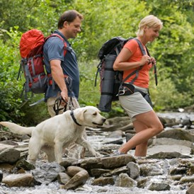 Urlaub-mit-Hund: Wandern mit Hund - CESTA GRAND  Aktivhotel & Spa