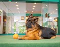 Urlaub-mit-Hund: Herzlich Willkommen - CESTA GRAND  Aktivhotel & Spa
