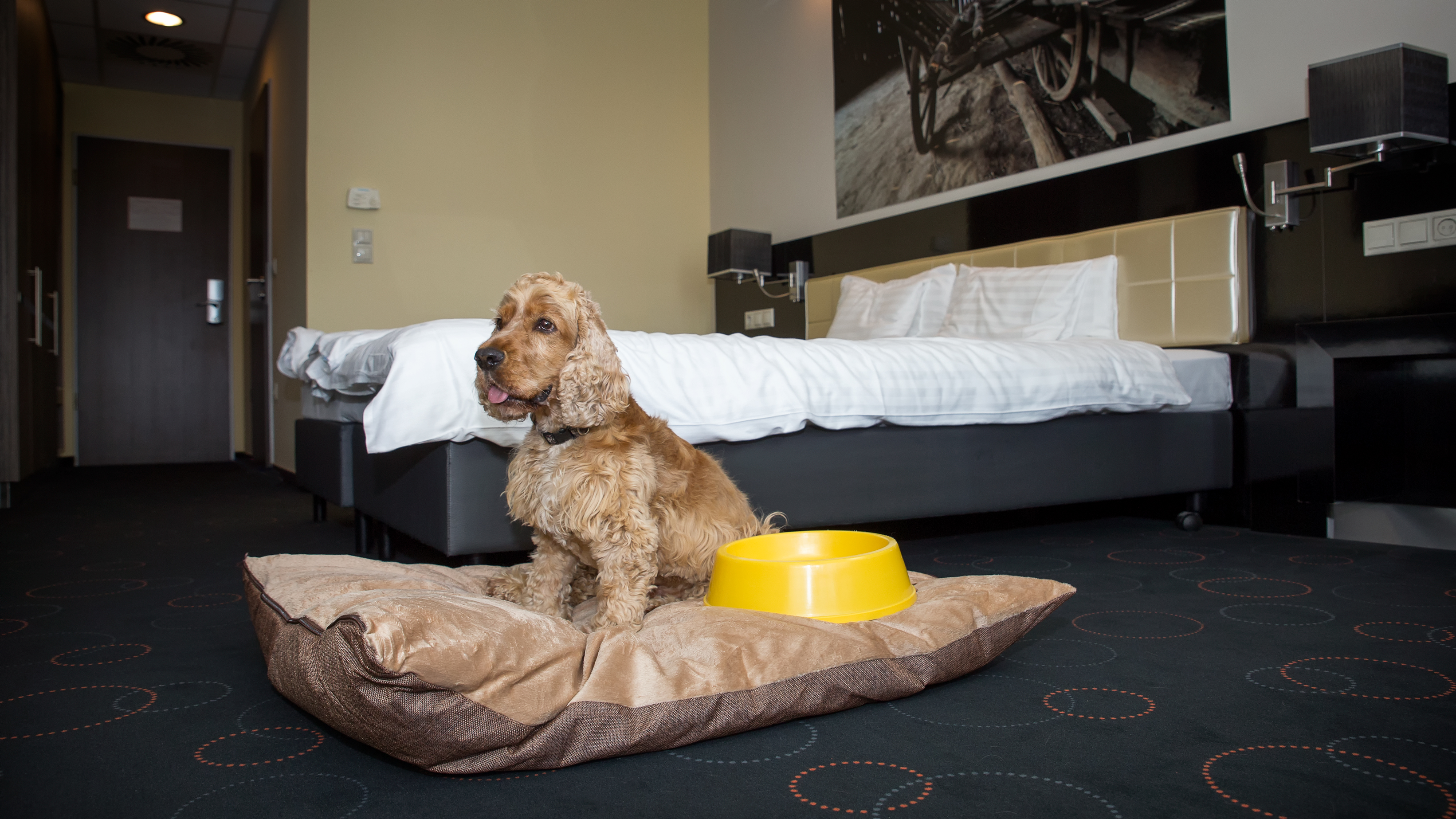 Gotthard Therme Hotel & Conference**** Zimmerkategorien Superior Doppelzimmer