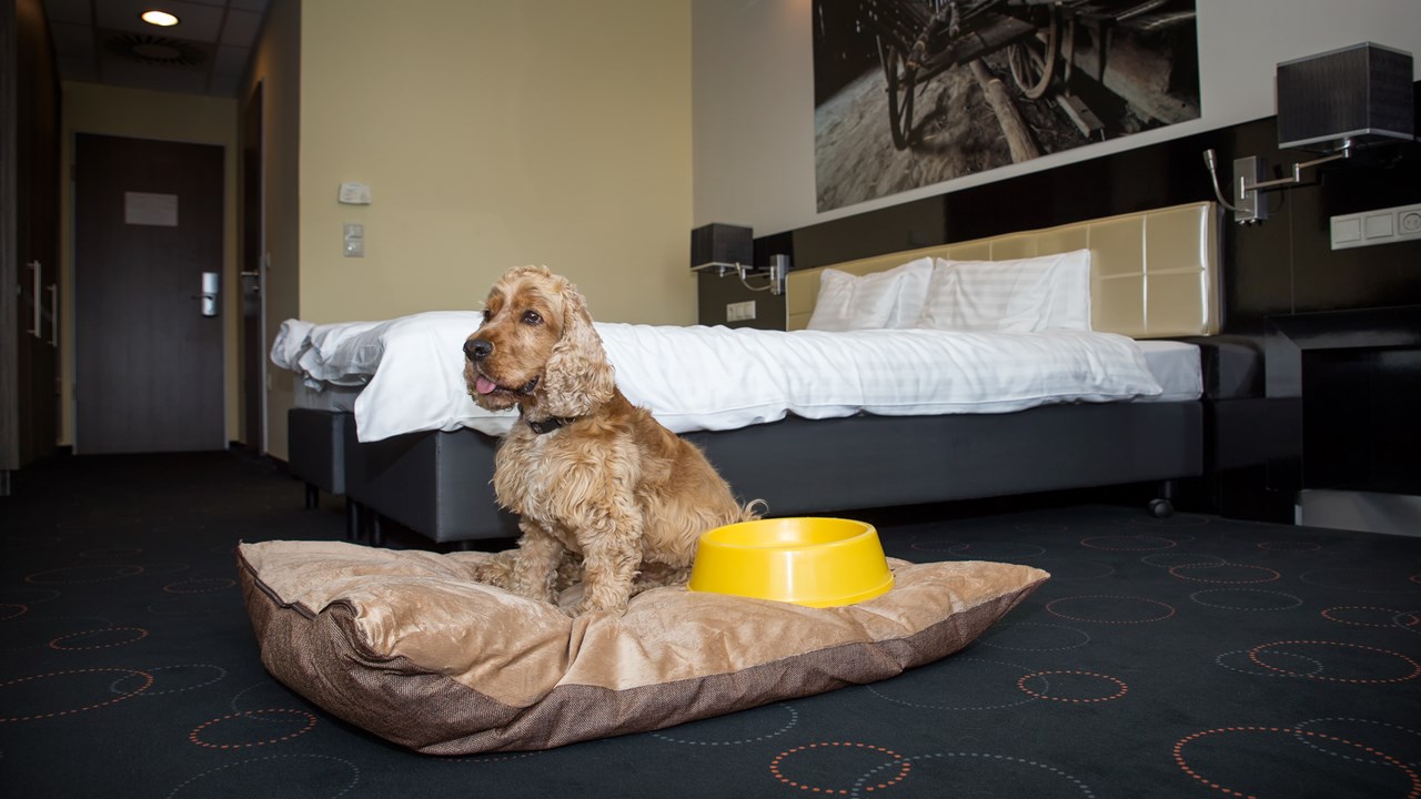 Gotthard Therme Hotel & Conference**** Zimmerkategorien Superior Doppelzimmer