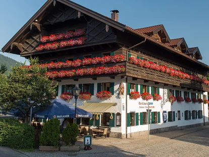 Hundehotel - Hundewiese: eingezäunt - Seeshaupt - Hundesporthotel Wolf - Hundesporthotel Wolf