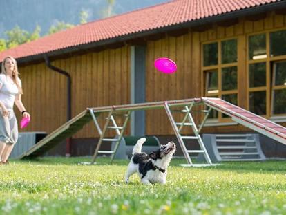 Hundehotel - Hundewiese: eingezäunt - Seeshaupt - Aussenplatz und Spielwiese - Hundesporthotel Wolf
