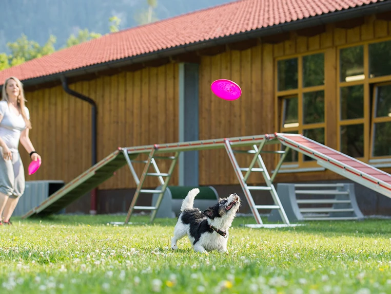 urlaub-mit-hund-hundesporthotel-wolf-15262.png?h=572&w=762&mode=crop&scale=canvas&format=webp&quality=90&autorotate=true