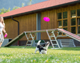 Urlaub-mit-Hund: Aussenplatz und Spielwiese - Hundesporthotel Wolf