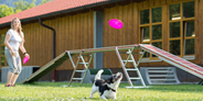 Hundehotel - Hundewiese: eingezäunt - Aussenplatz und Spielwiese - Hundesporthotel Wolf