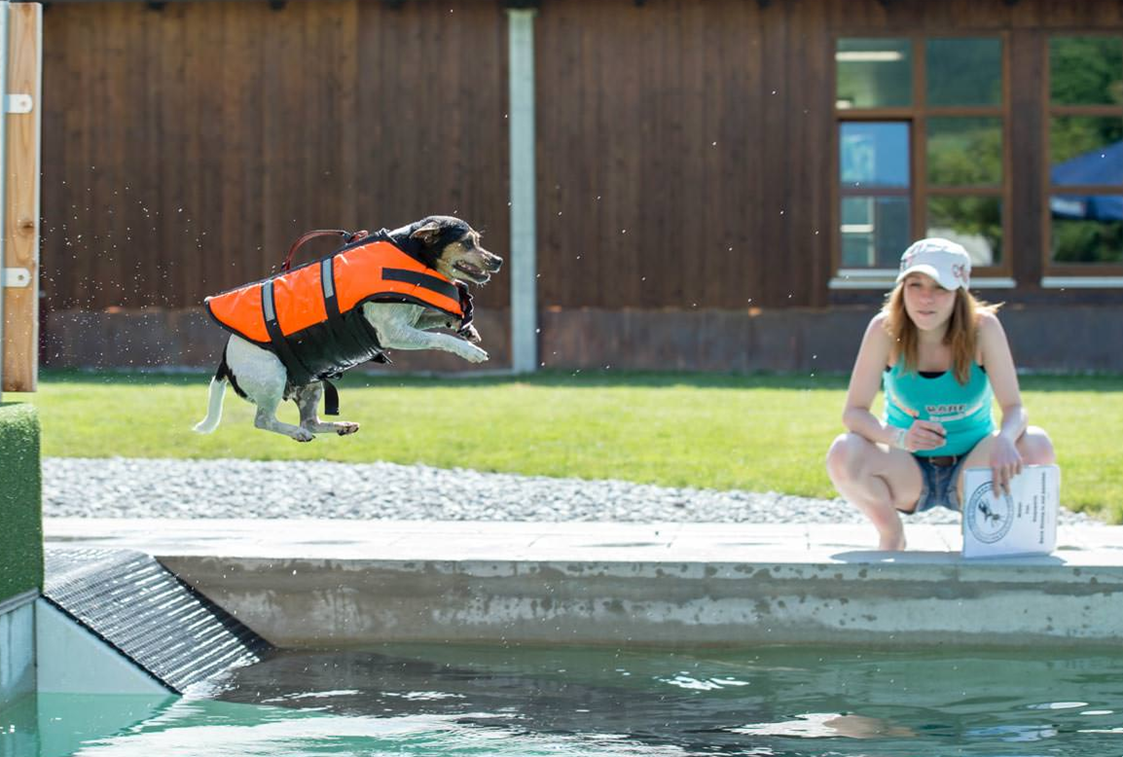 Urlaub-mit-Hund: Hundeschwimmbad - Hundesporthotel Wolf