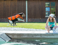 Urlaub-mit-Hund: Hundeschwimmbad - Hundesporthotel Wolf