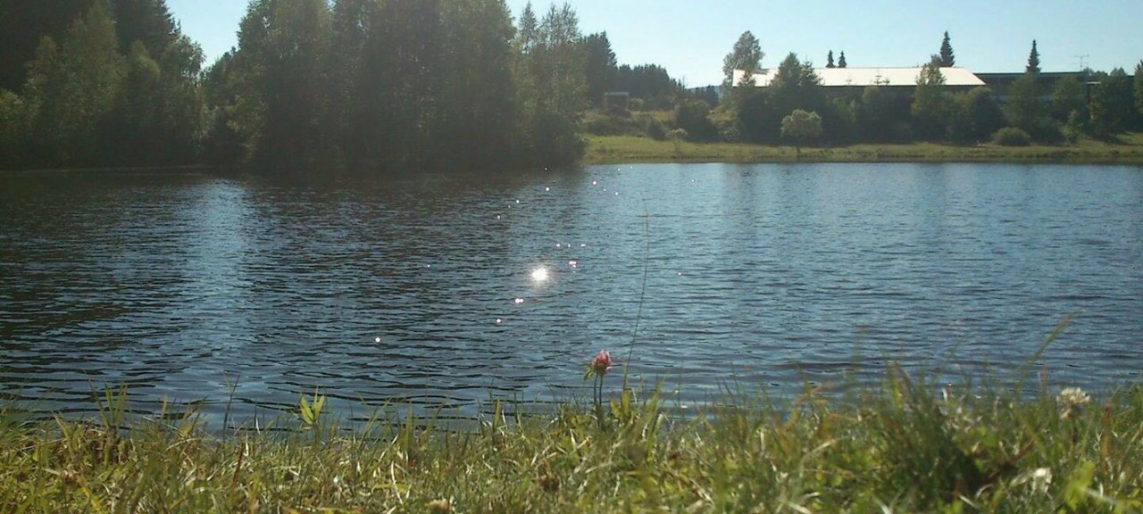 Hunderesort Waldeck Ausflugsziele Badesee Haidmühle