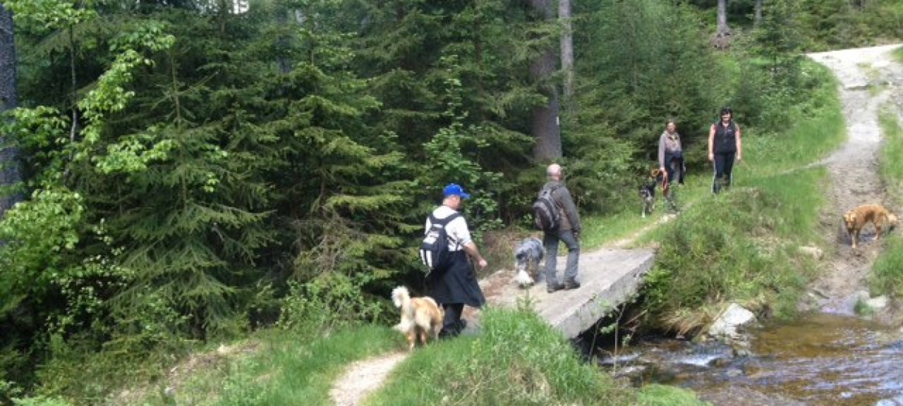 Hunderesort Waldeck Ausflugsziele Buchberger Leite