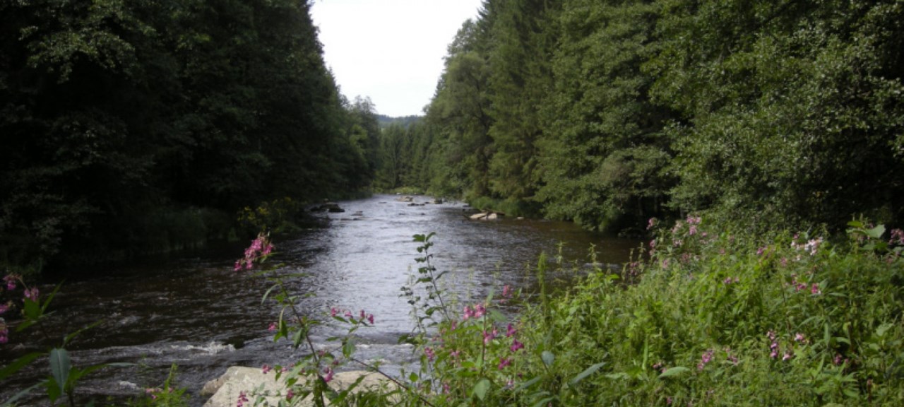 Hunderesort Waldeck Ausflugsziele Ilztalwanderung