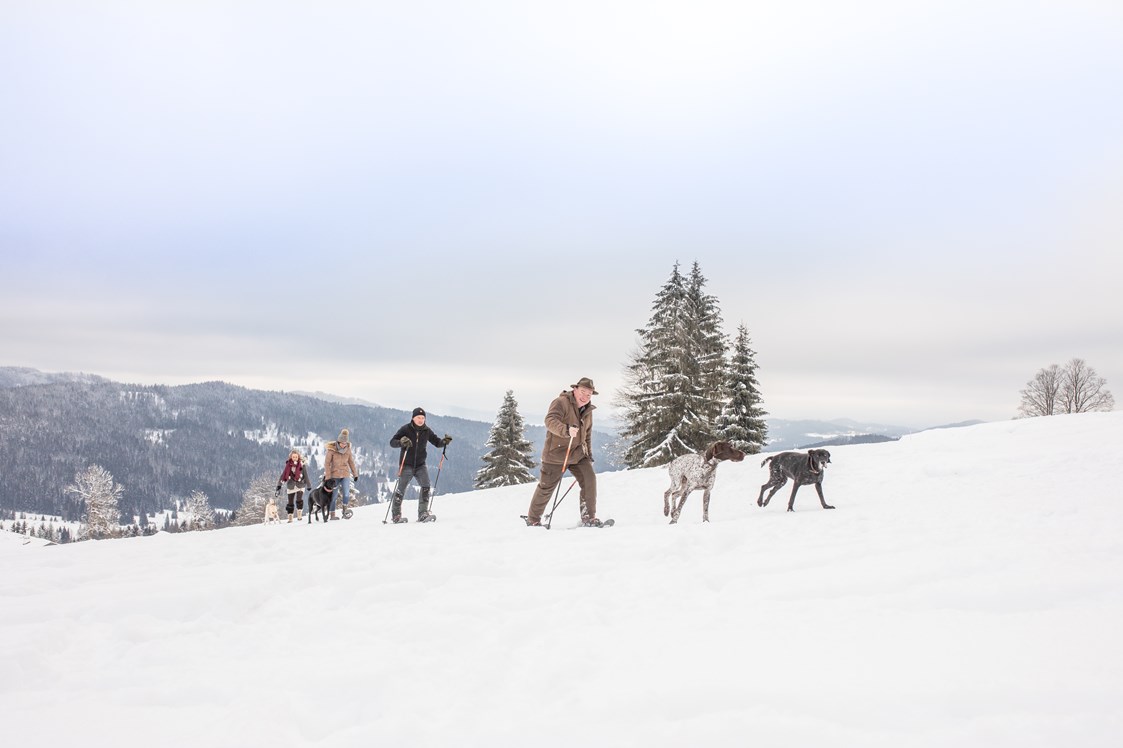 Urlaub-mit-Hund: Schneeschuhwanderung mit Hund - Hunderesort Waldeck
