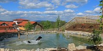 Hundehotel - Pools: Infinity Pool - Unser Hundebadeteich - Hunderesort Waldeck