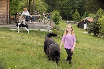 Urlaub-mit-Hund: Bei der Aussichts-Hütte - Hunderesort Waldeck
