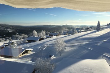Urlaub-mit-Hund: Winter-Aussicht aus unserer Turmsuite - Hunderesort Waldeck