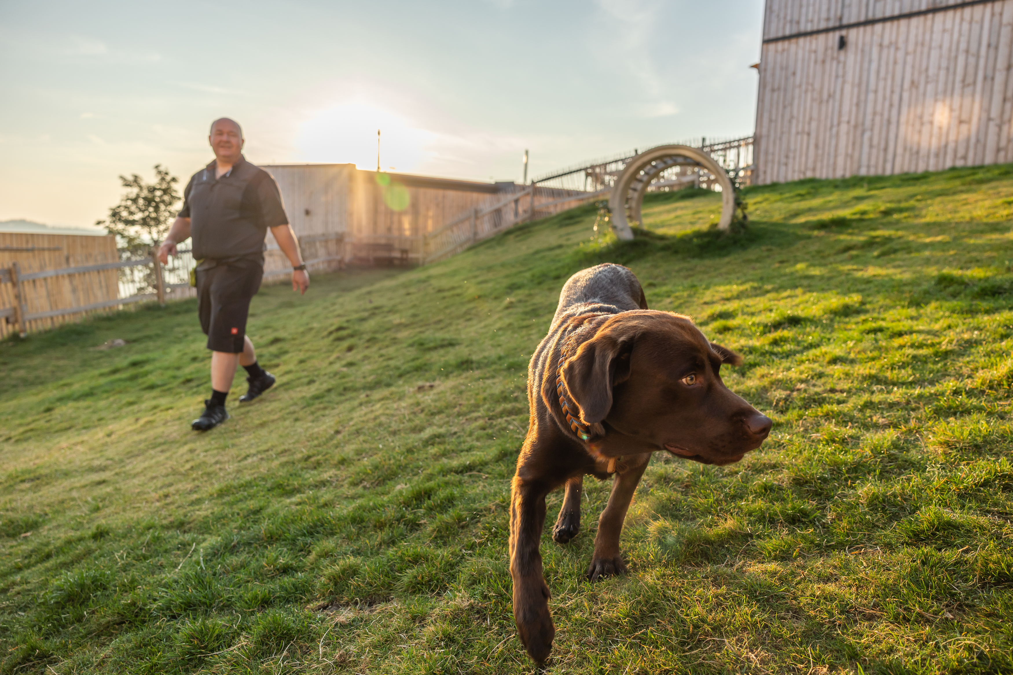 Urlaub-mit-Hund: Auslauf-/Spielwiese - Hunderesort Waldeck - Haus | Umgebung