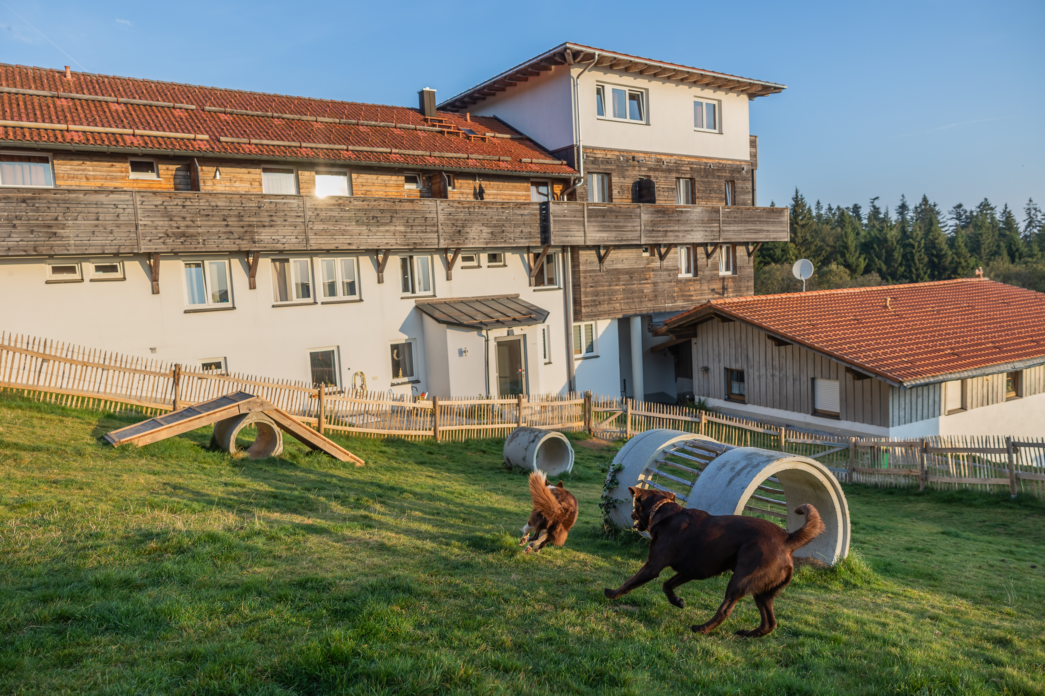 Urlaub-mit-Hund: Eingezäunte Auslauf-/Spielwiese direkt am Hotel - Hunderesort Waldeck - Haus | Umgebung