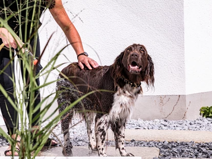 Hundehotel - Hundewiese: nicht eingezäunt - Philippsreut - Hundedusche Outdoor - Hunderesort Waldeck