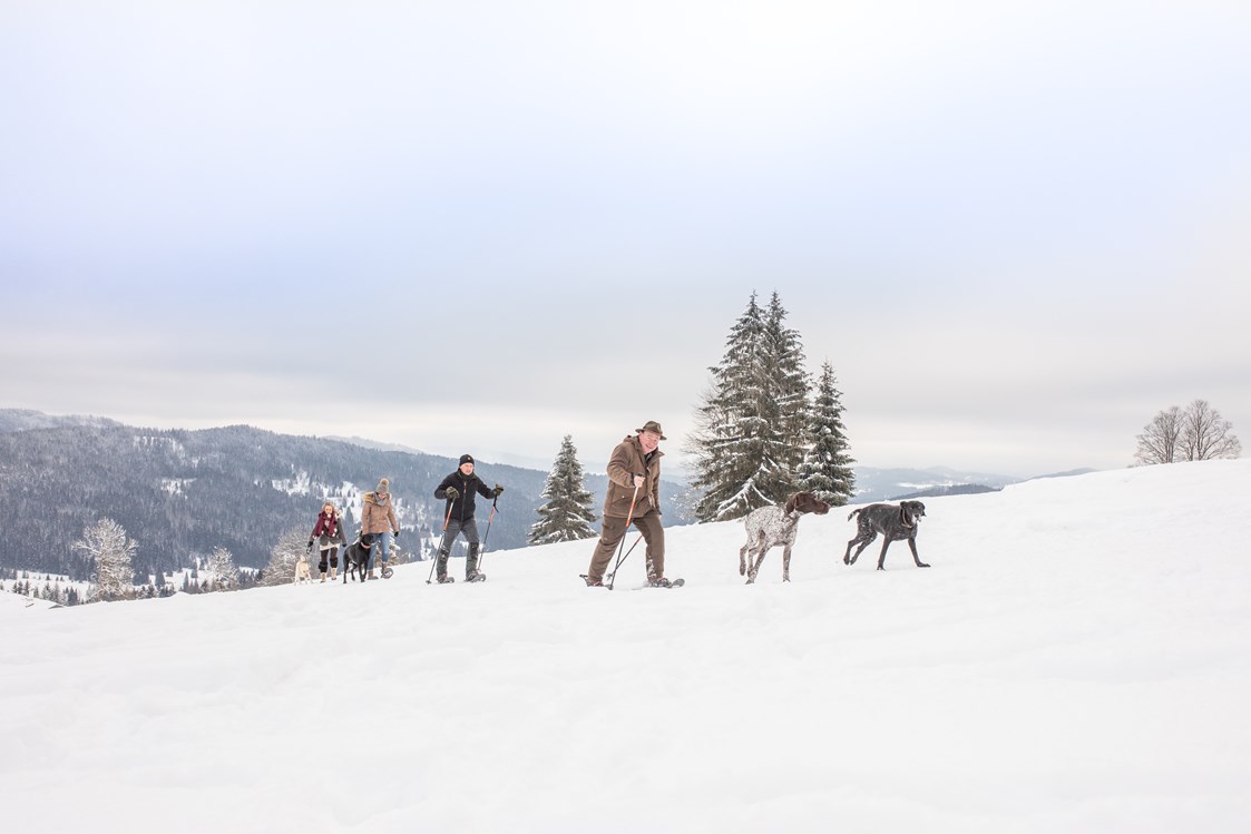 Urlaub-mit-Hund: Schneeschuhwanderung mit Hund - Landhotel Haus Waldeck***S