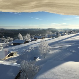 Urlaub-mit-Hund: Winter-Aussicht aus unserer Turmsuite - Landhotel Haus Waldeck***S