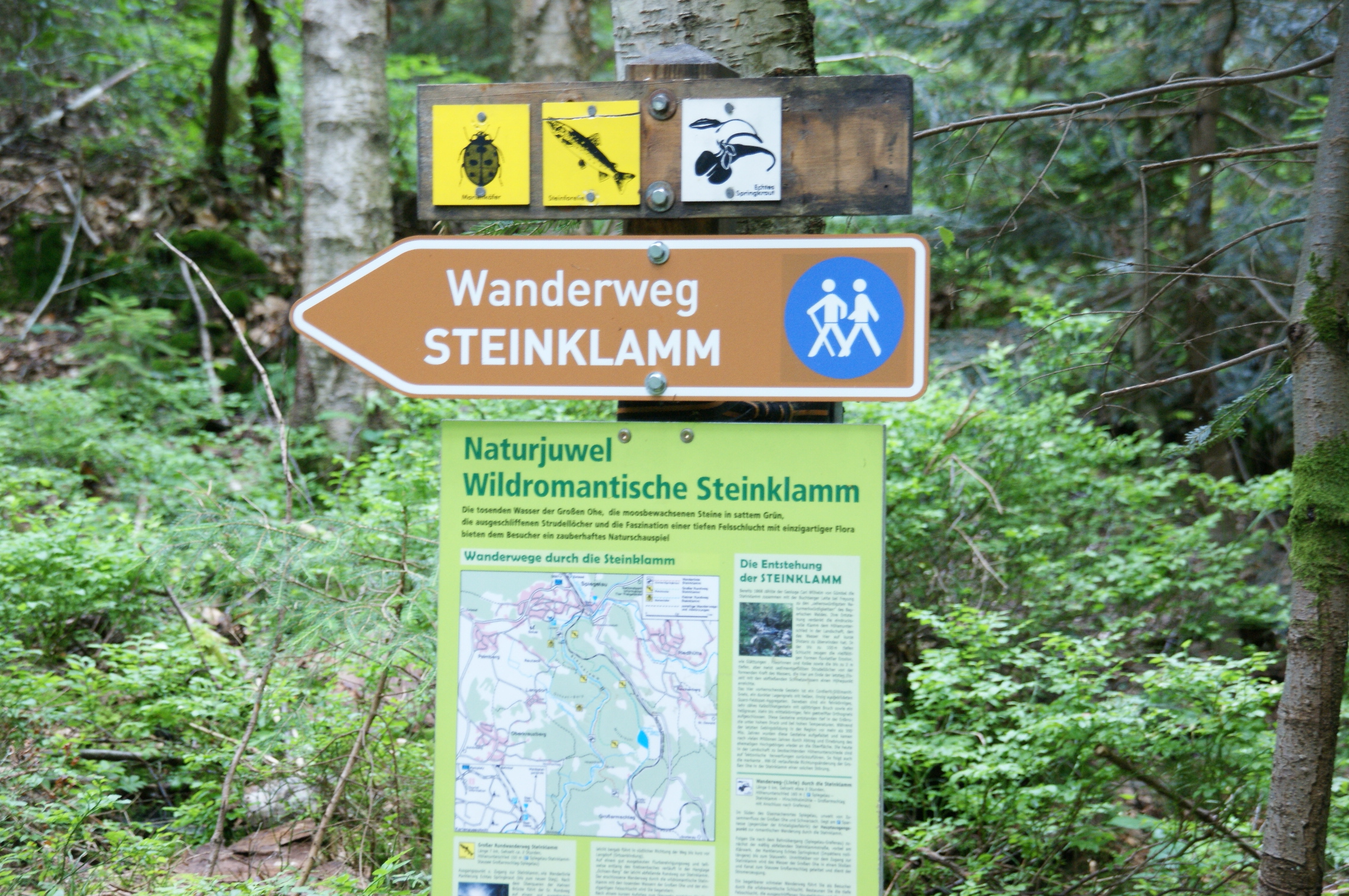 Landhotel Sportalm Ausflugsziele Steinklamm