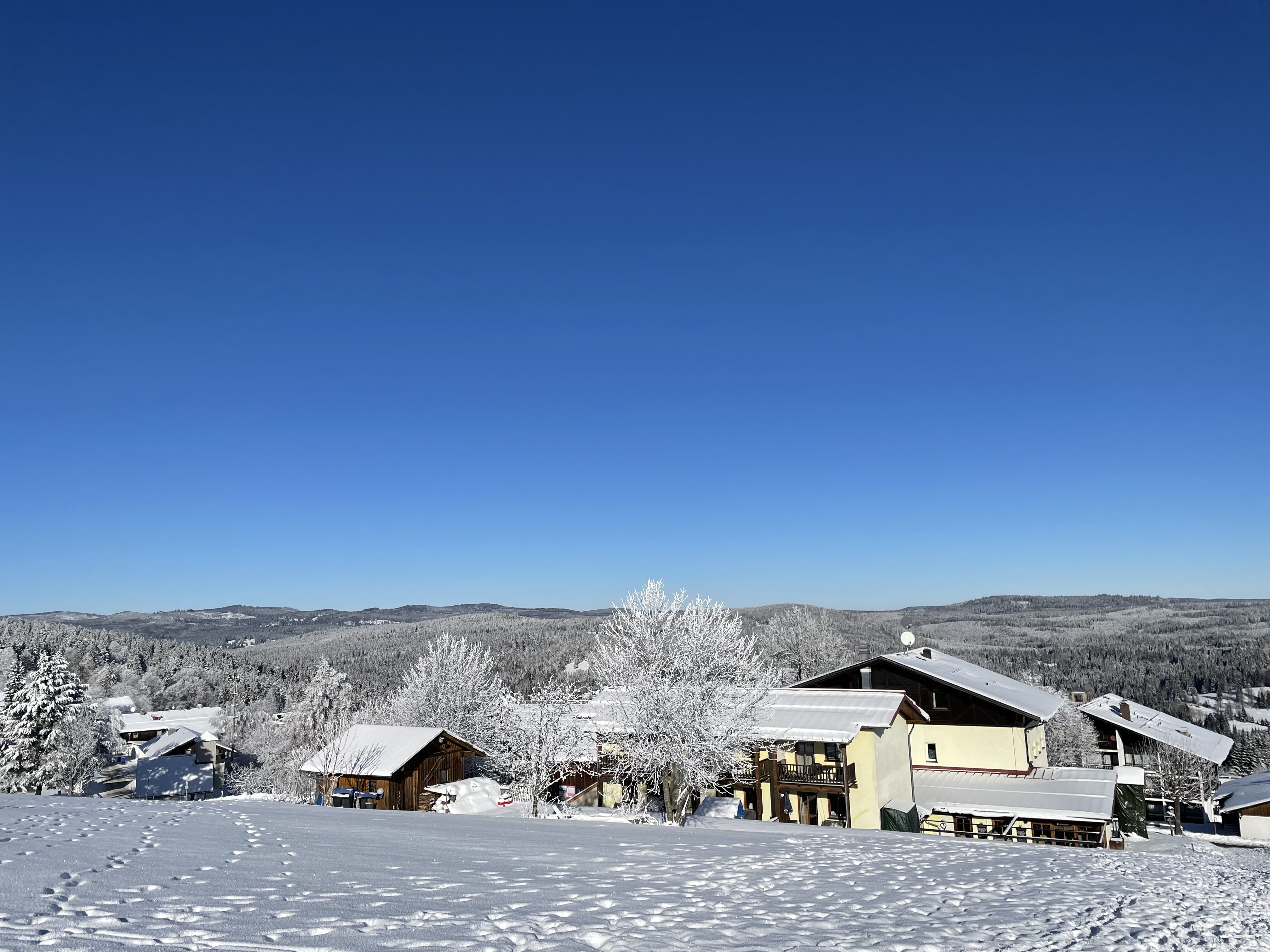 Urlaub-mit-Hund: Landhotel Sportalm im Wintersportgebiet Mitterfirmiansreut - Landhotel Sportalm - Haus | Umgebung