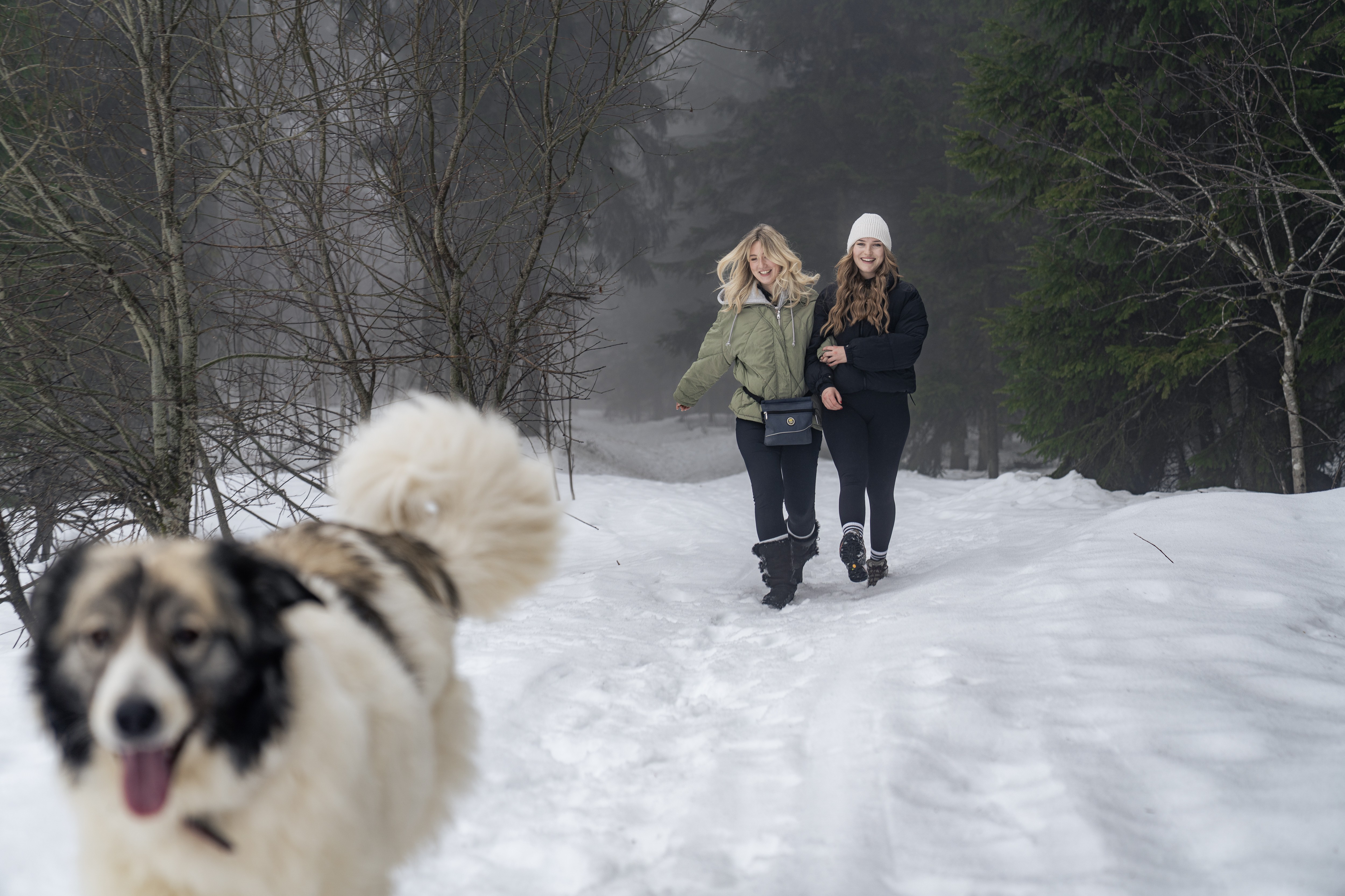 Urlaub-mit-Hund: Winter in Mitterfirmiansreut - Hundefreude pur! - Landhotel Sportalm