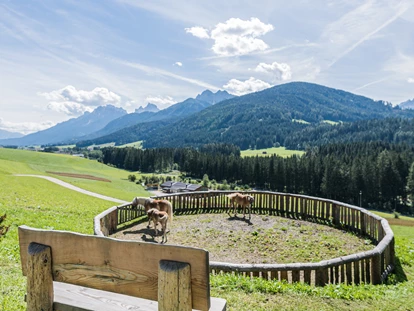 Hundehotel - Doggies: 3 Doggies - Haubenthal