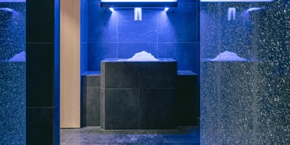 Hundehotel - Pools: Schwimmteich - Eisbrunnen mit Eisgang - Torghele's Wald & Fluh