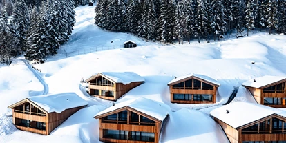 Hundehotel - Pools: Schwimmteich - Torghele's Wald & Fluh