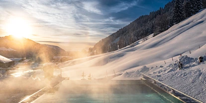 Hundehotel - Pools: Schwimmteich - Torghele's Wald & Fluh