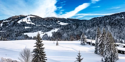 Hundehotel - Pools: Schwimmteich - Torghele's Wald & Fluh
