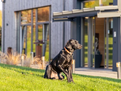 Hundehotel - Bad Leonfelden - Landrefugium Obermüller ****S