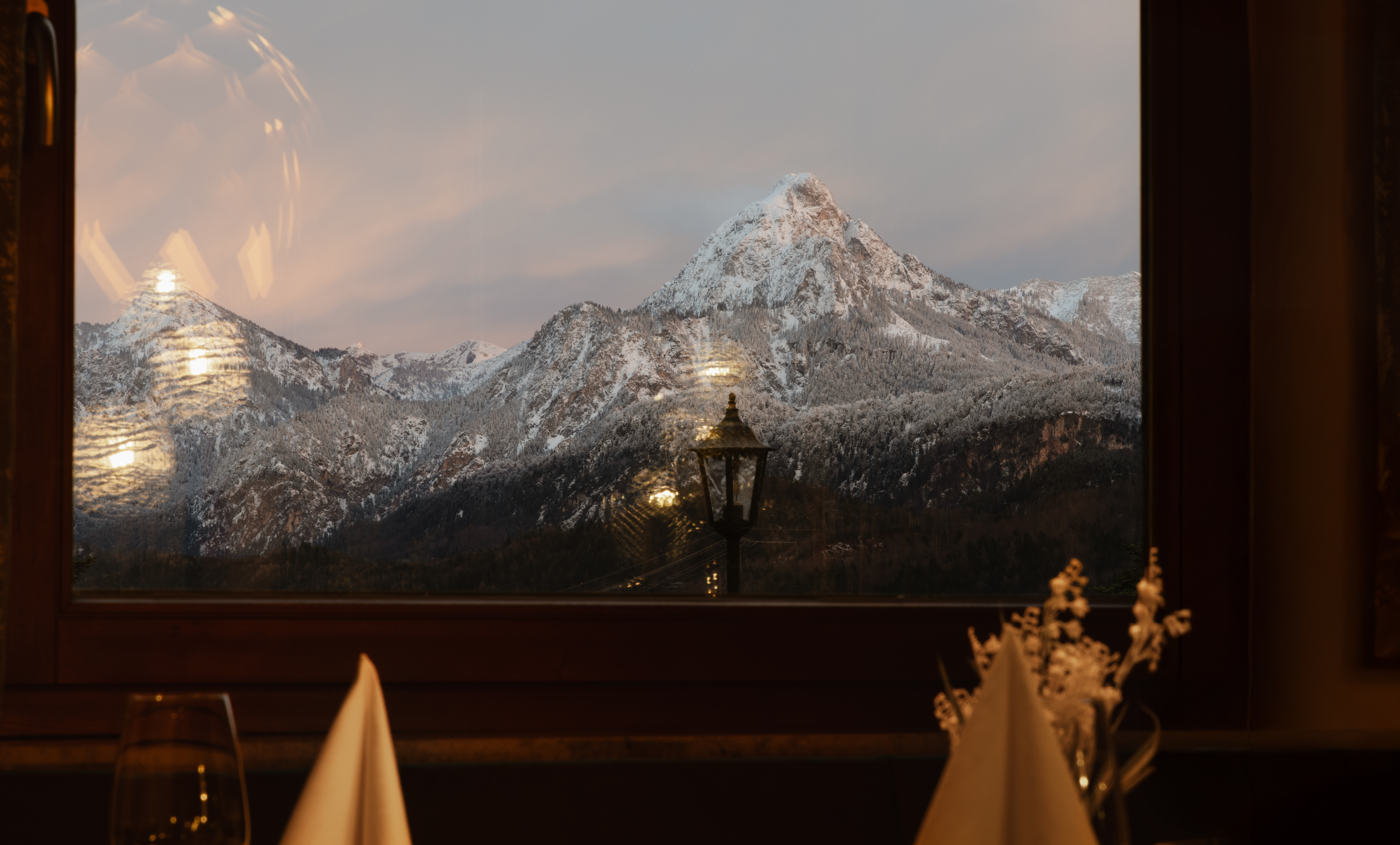 Hundehotel - Wiggensbach - Die Bergruh