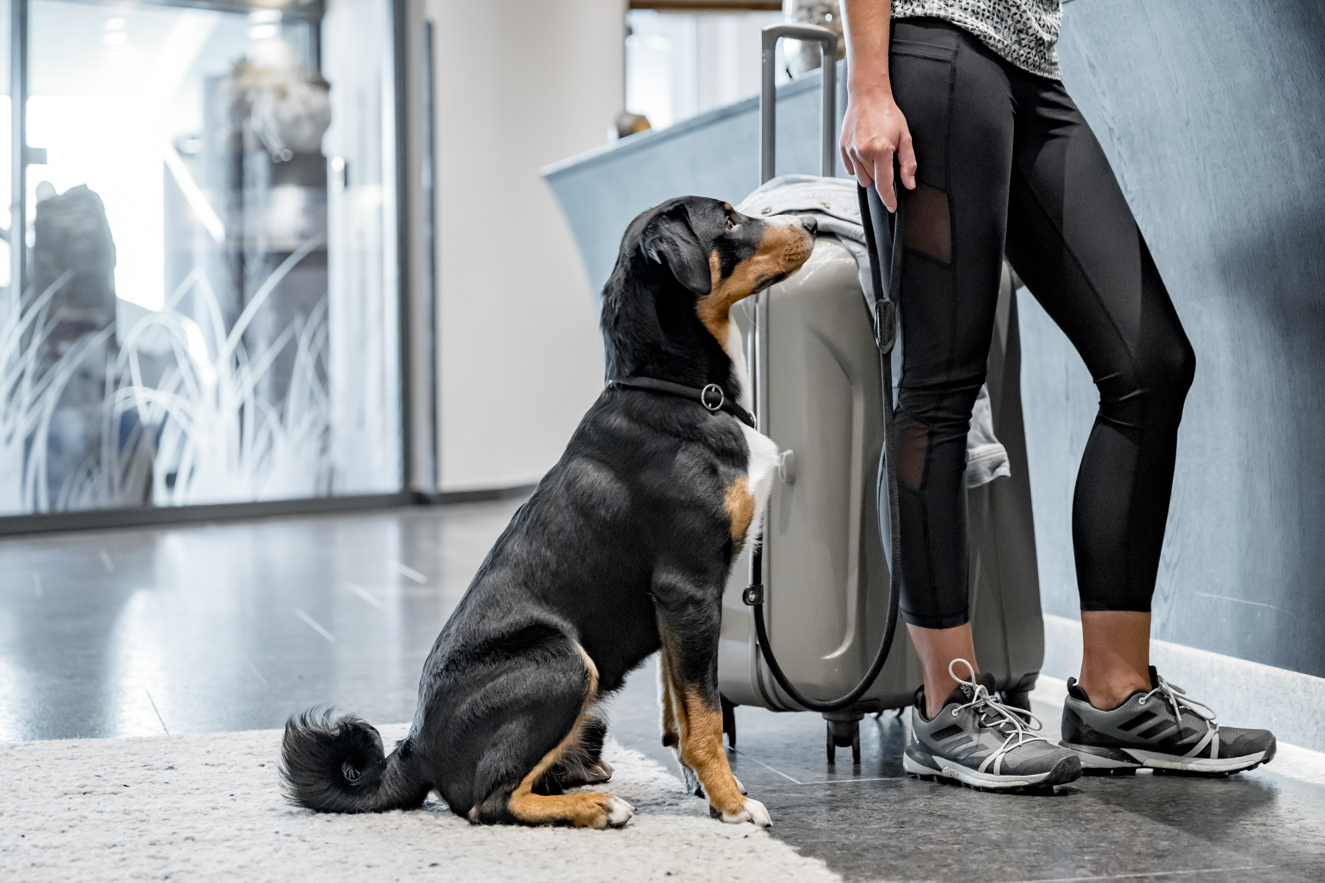 Hundehotel - Umgebungsschwerpunkt: Berg - Österreich - Anreise - SKI | GOLF | WELLNESS Hotel Riml