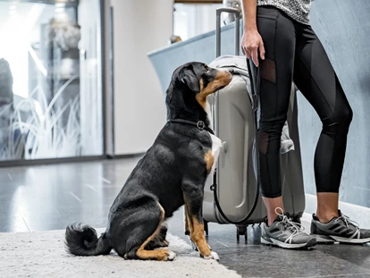 Hundehotel - Doggies: 3 Doggies - Anreise - SKI | GOLF | WELLNESS Hotel Riml****S