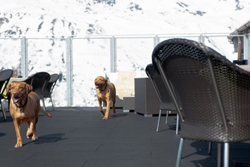 Urlaub-mit-Hund: SKI- und WELLNESSRESORT Hotel Riml ****S
