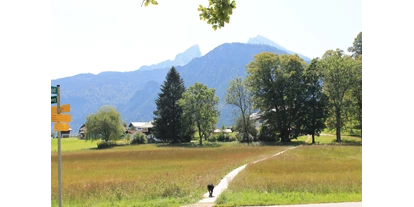Hundehotel - Unterkunftsart: Hotel - Königssee - Stoll´s Hotel Alpina