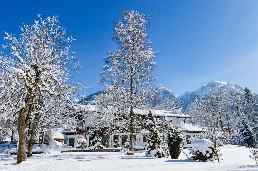 Urlaub-mit-Hund: Winterurlaub im Stoll´s Hotel Alpina - Stoll´s Hotel Alpina