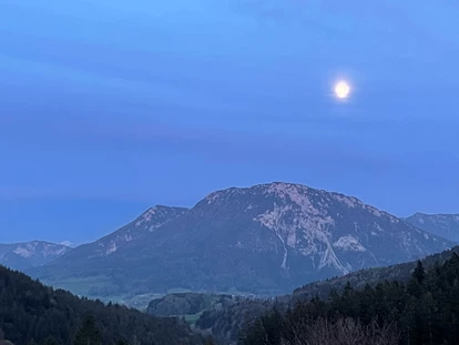 Hundehotel - Mariastein (Mariastein) - Blickner Alm