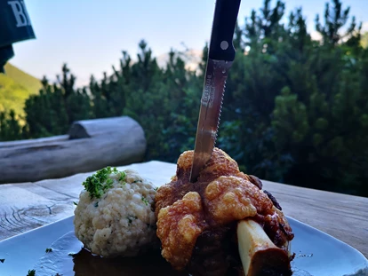 Hundehotel - Mariastein (Mariastein) - ...und am Abend als Abschluß eine Schweinshaxe? - Blickner Alm