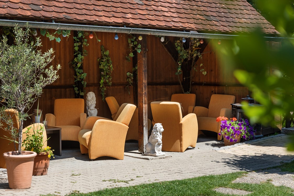 Urlaub-mit-Hund: Lounge im Storchen - Bodensee Hotel Storchen 
