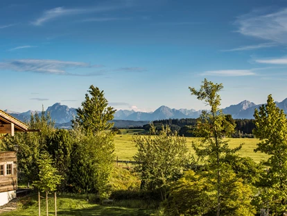 Hundehotel - Ofterschwang - Ausblick aus den Zimmern  - Das Weitblick Allgäu