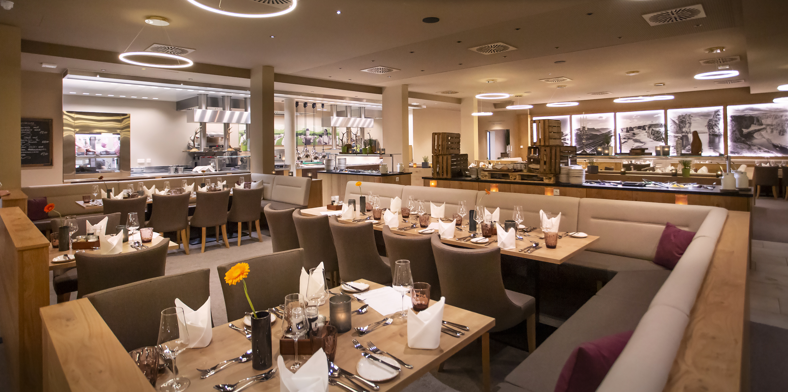 Urlaub-mit-Hund: Das Weitblick Allgäu