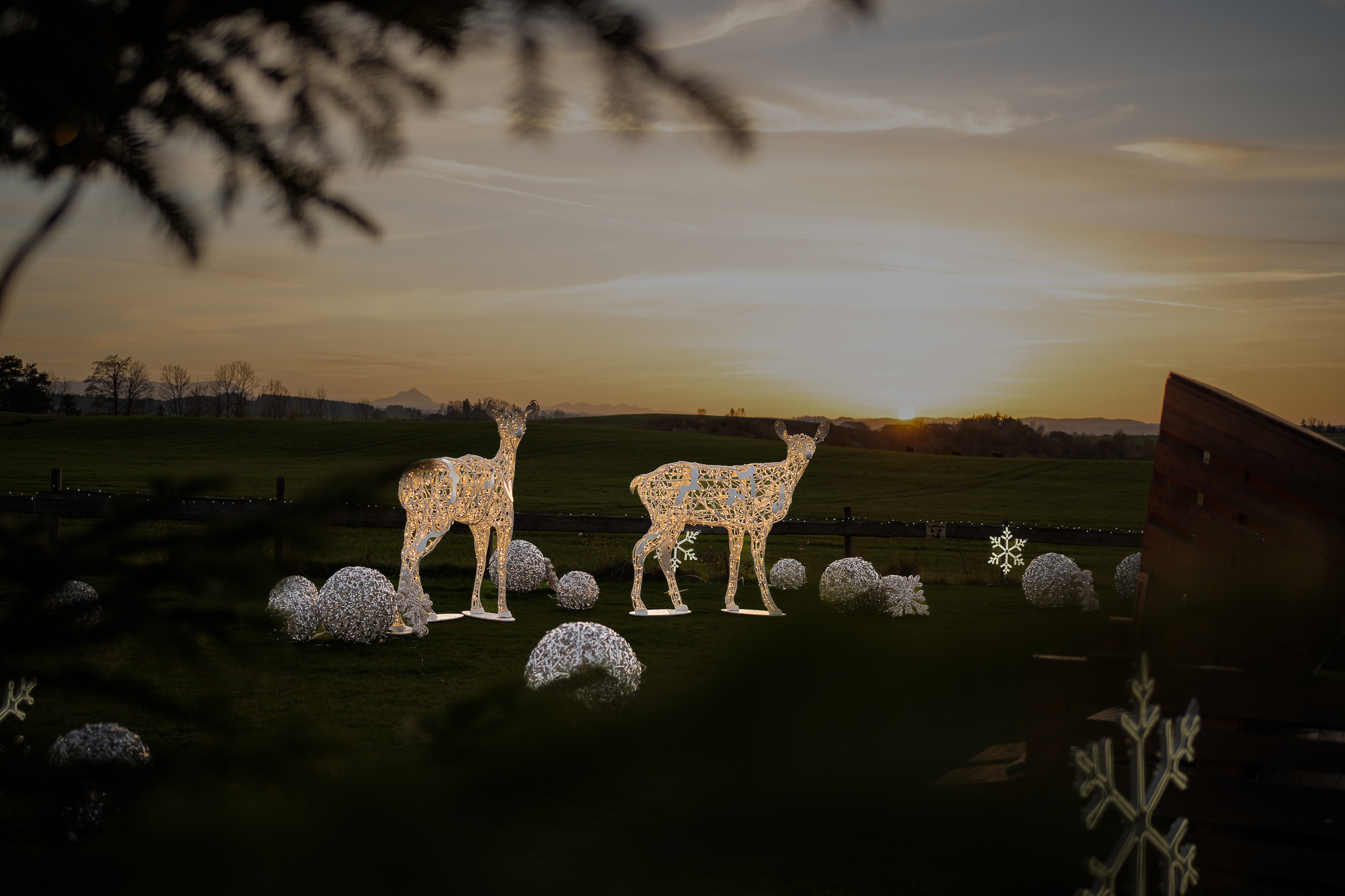 Urlaub-mit-Hund: Lichterzauber - Das Weitblick Allgäu