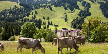 Hundehotel - Doggies: 3 Doggies - Panoramahotel Oberjoch