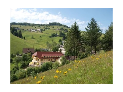 Hundehotel - Doggies: 3 Doggies - Hotel von außen  - Naturparkhotel Grüner Baum
