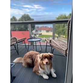 Urlaub-mit-Hund: Hunde Model 2023 gesucht - gefunden!
2. Platz für Flinni - Fleesensee Resort & Spa