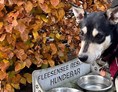 Urlaub-mit-Hund: Fleesensee Resort & Spa