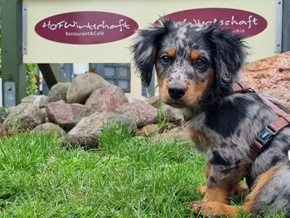 Hundehotel - Plau am See - Fleesensee Resort & Spa